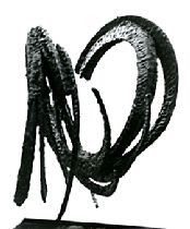 Lettere